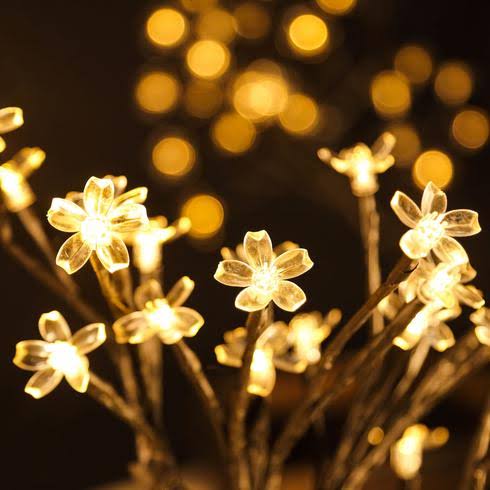 Clarify.pk 24 LED night light table lamp with warm flower-shaped lights for cozy ambiance