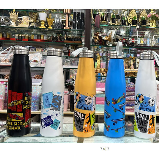 Premium Sports Edition Stainless Steel Bottle – Printed Flask (Random Color)