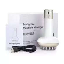 Electric Meridian Brush Gua Sha Body Massager Vibrate Microcurrent Hot Compress Scraping Lymphatic Drainage Machine Fat Burner