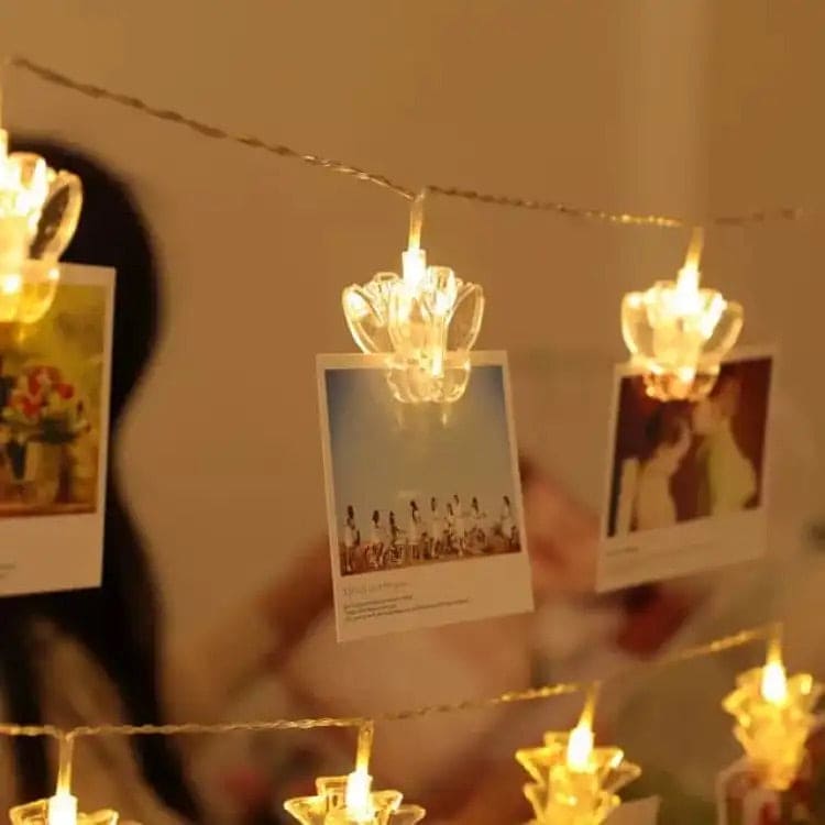 Clarify.pk LED photo clip string lights holding photos with warm glowing flower-shaped clips