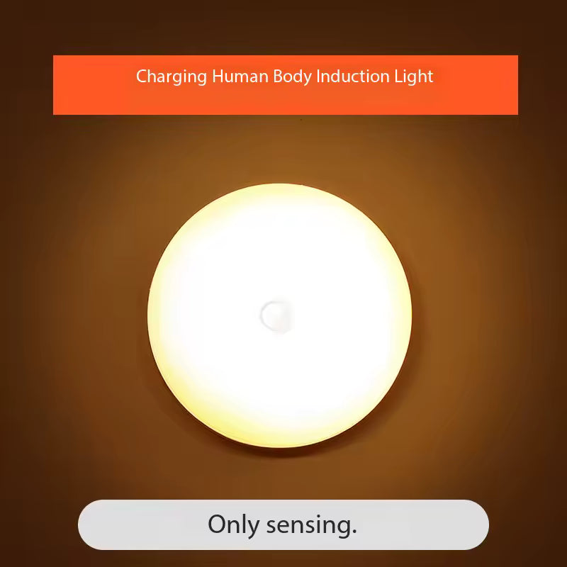 USB rechargeable closet lamp with human body induction light and motion sensing feature