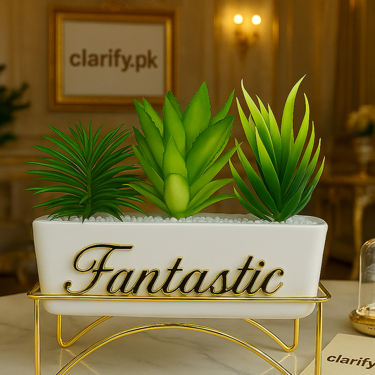 Fancy Flower Pot Decoration – Decorative Indoor Tabletop Planter