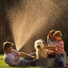 Family enjoying outdoor fun with a large 8 pattern water gun spraying water on a dog and kids