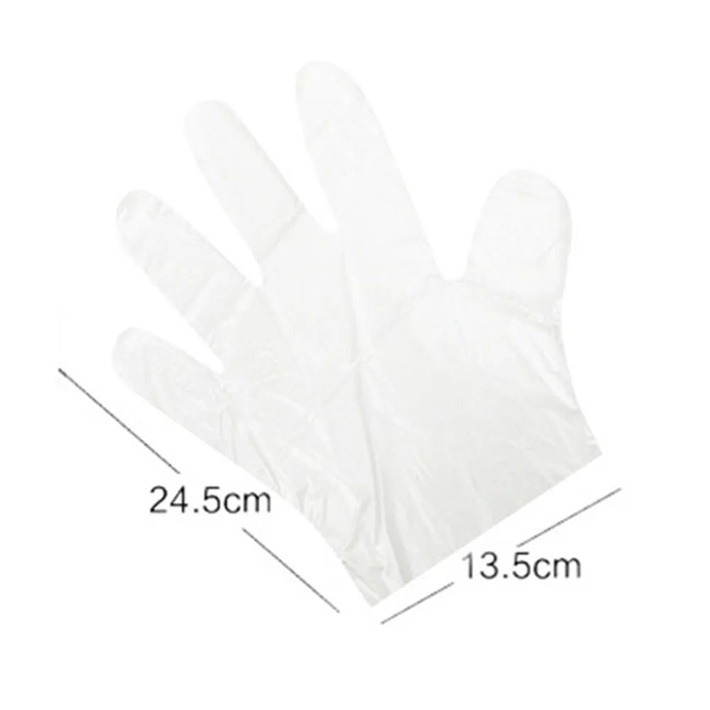 Clear food grade disposable gloves measuring 24.5 cm by 13.5 cm for safe food handling