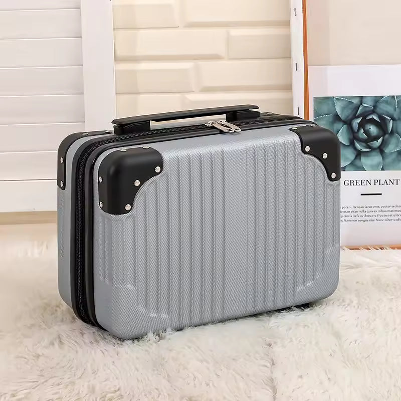 Clarify.pk portable cosmetic organizer with handle in silver hard shell design with black corner protectors
