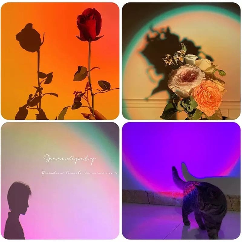 Rainbow sunset lamp for home decor projecting colorful light with flower and cat shadows on walls